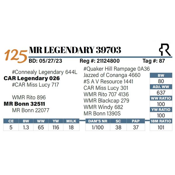MR Legendary 39703