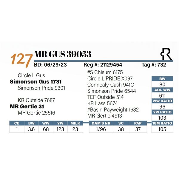 MR Gus 39053