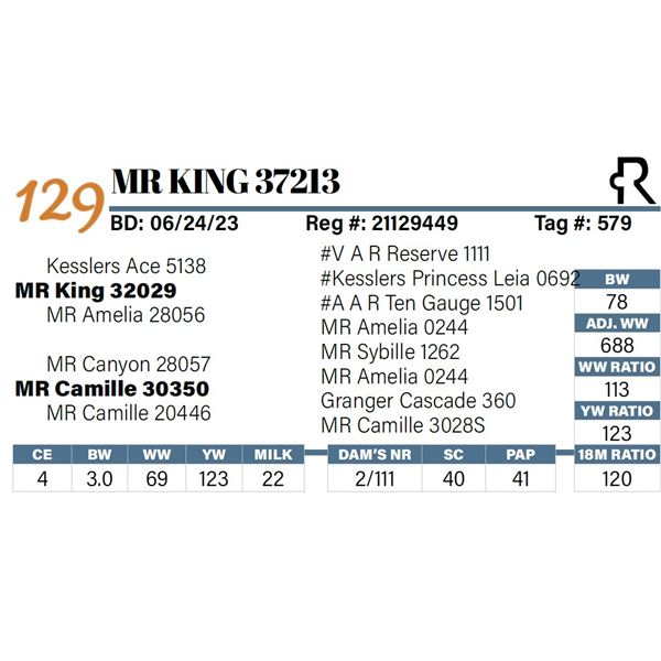 MR King 37213