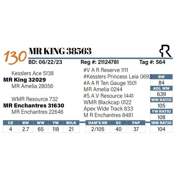 MR King 38563