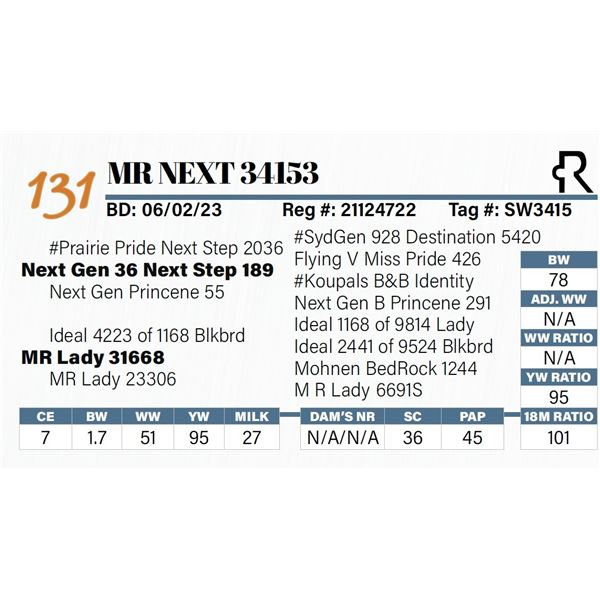 MR Next 34153