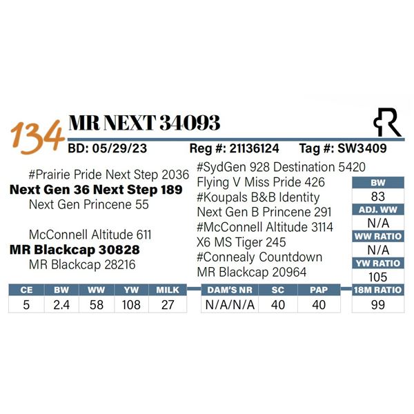 MR Next 34093