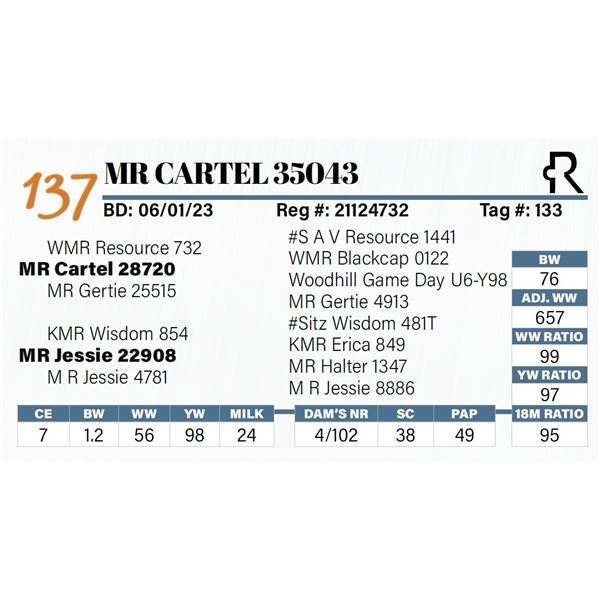 MR Cartel 35043