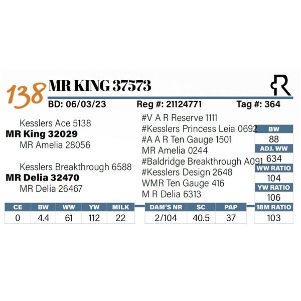 MR King 37573