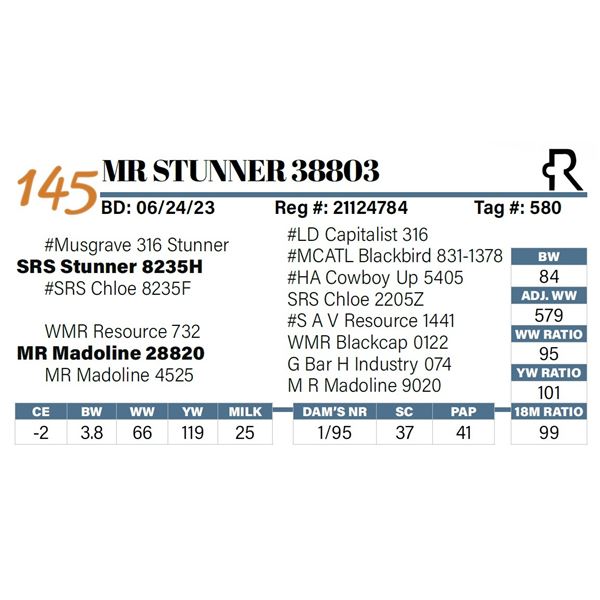 MR Stunner 38803