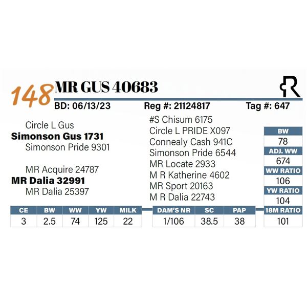 MR Gus 40683