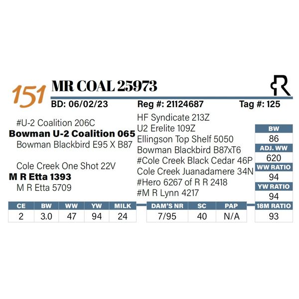 MR Coal 25973