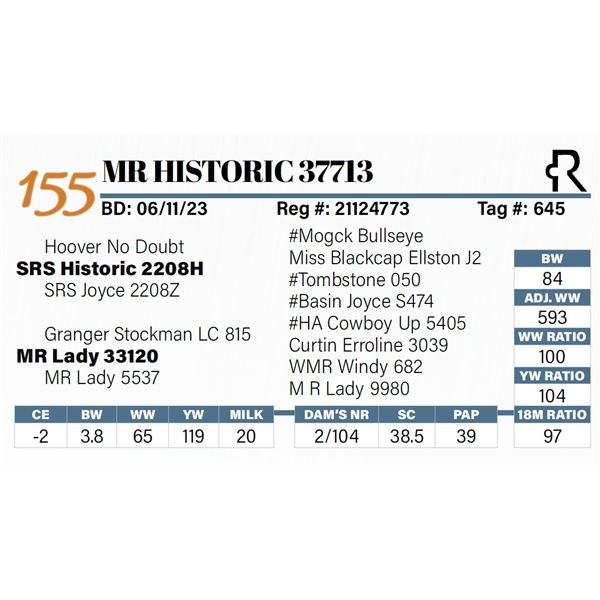 MR Historic 37713