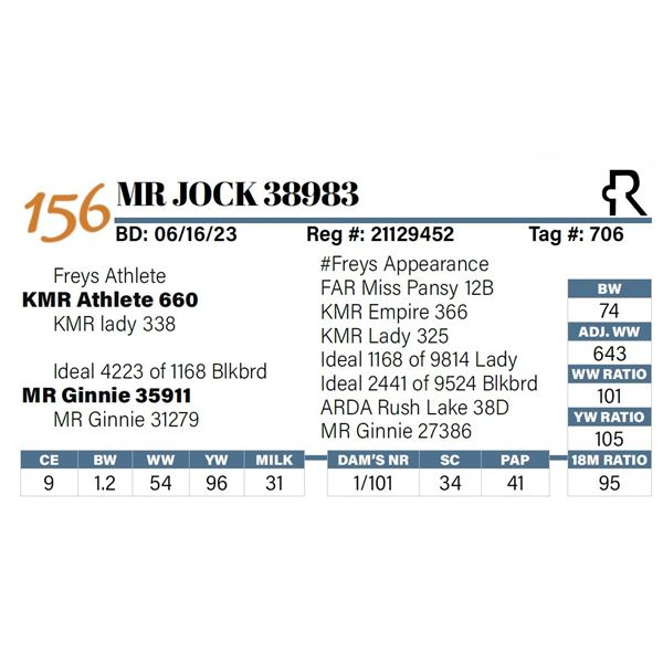 MR Jock 38983