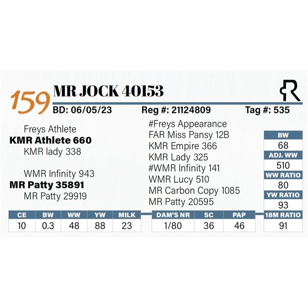 MR Jock 40153