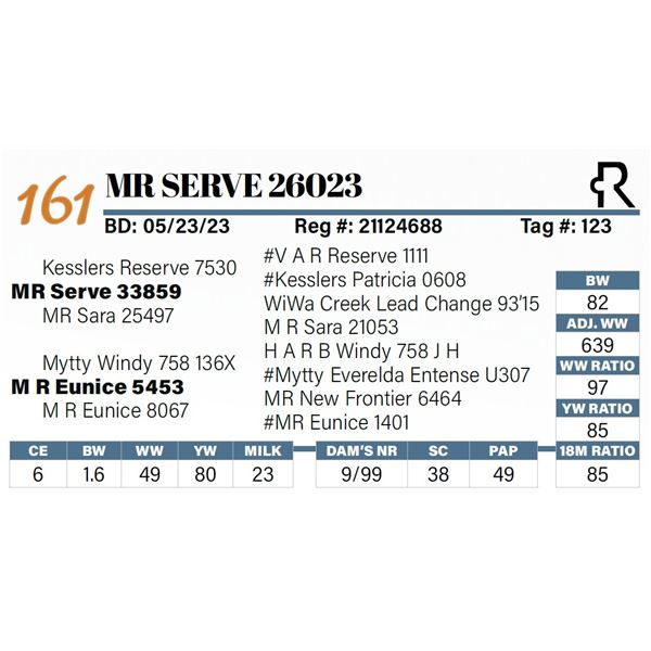 MR Serve 26023