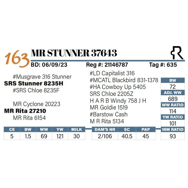 MR Stunner 37643