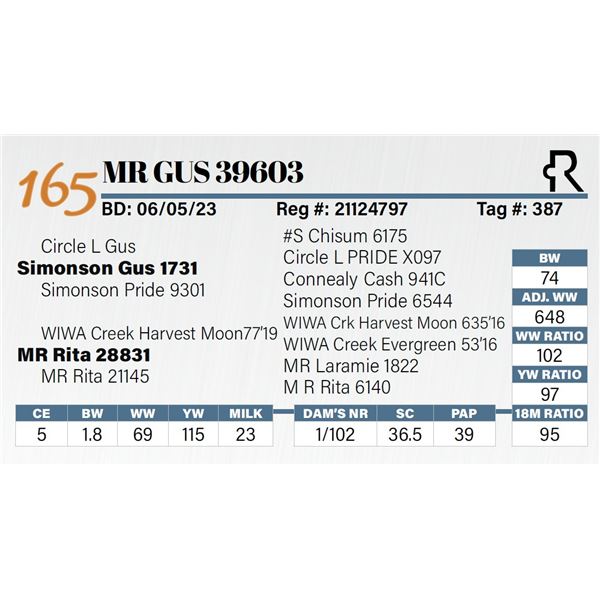 MR Gus 39603