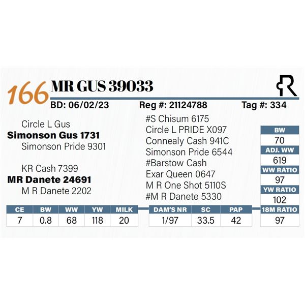 MR Gus 39033