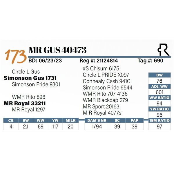 MR Gus 40473