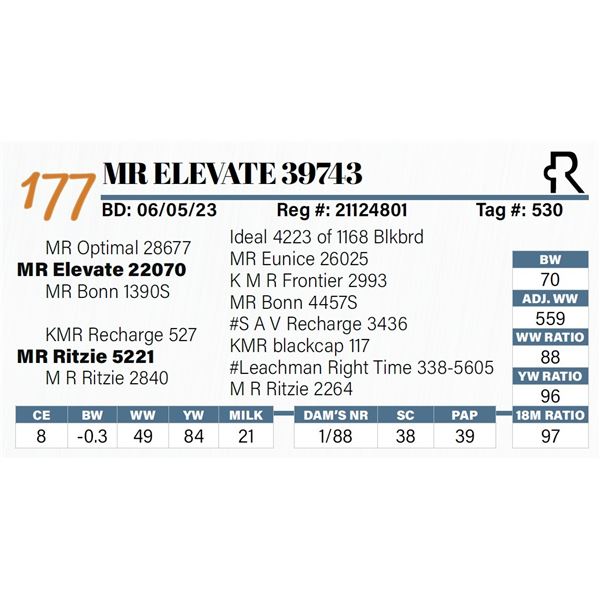 MR Elevate 39743