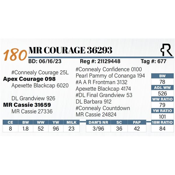 MR Courage 36293