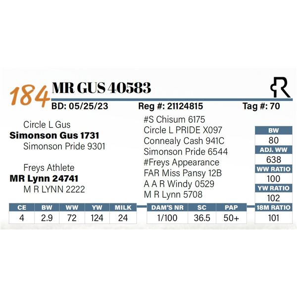 MR Gus 40583
