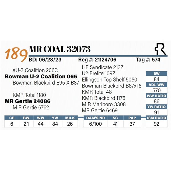 MR Coal 32073