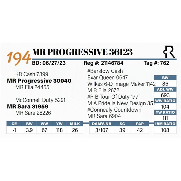 MR Progressive 36123