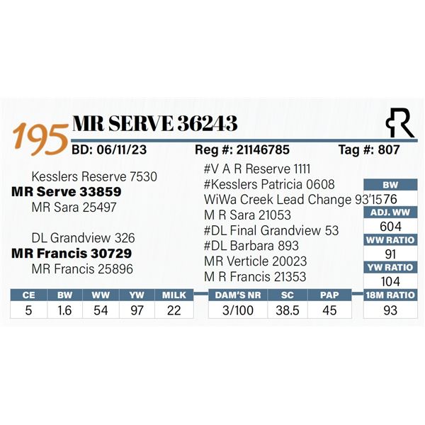 MR Serve 36243