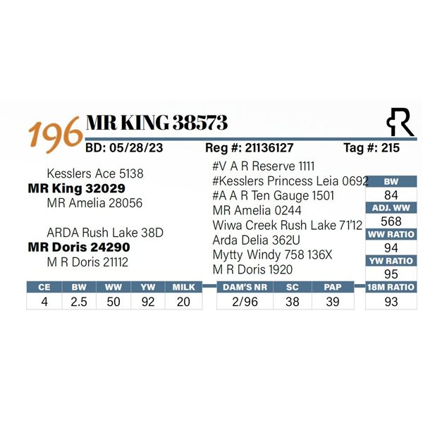 MR King 38573