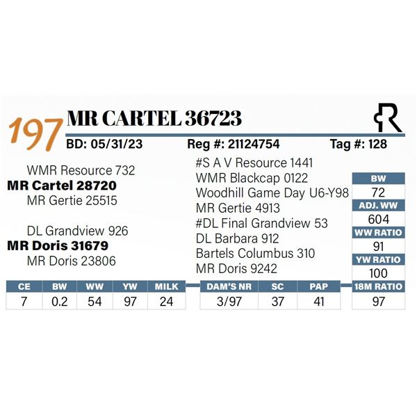 MR Cartel 36723
