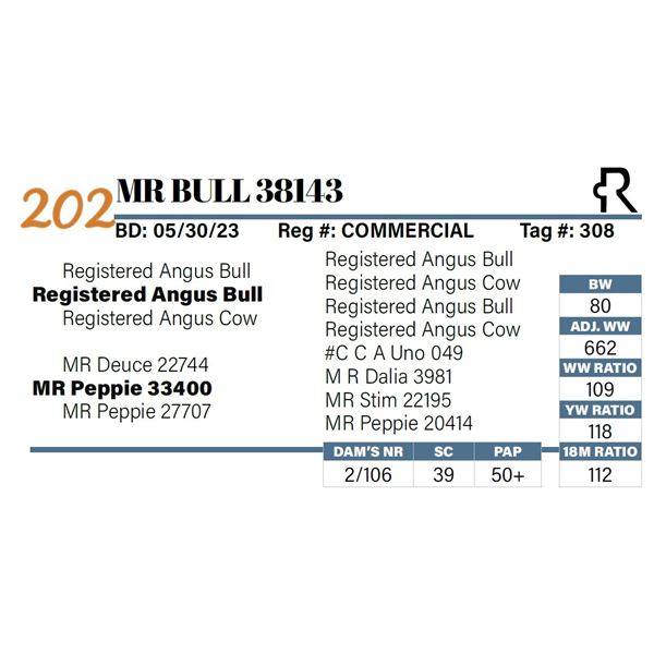 MR Bull 38143