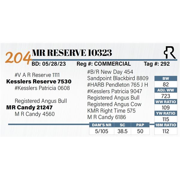 MR Reserve 10323