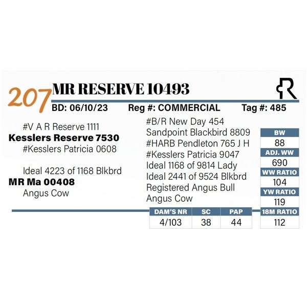 MR Reserve 10493