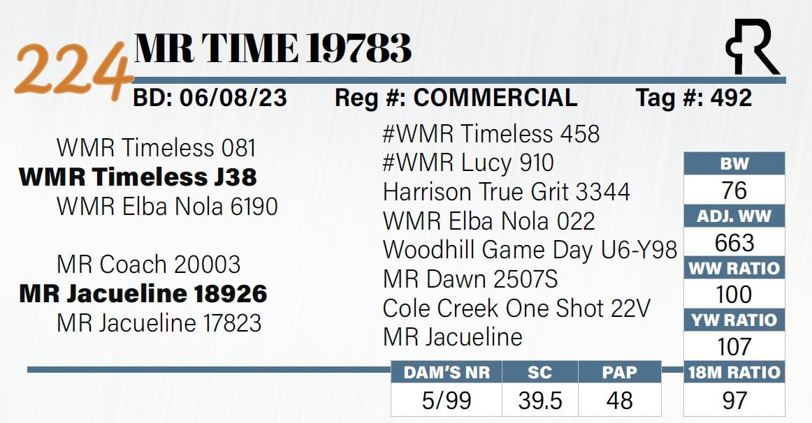 MR Time 19783 - Northern Livestock Video Auction