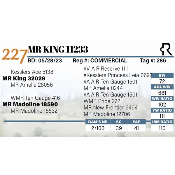 MR King 11233