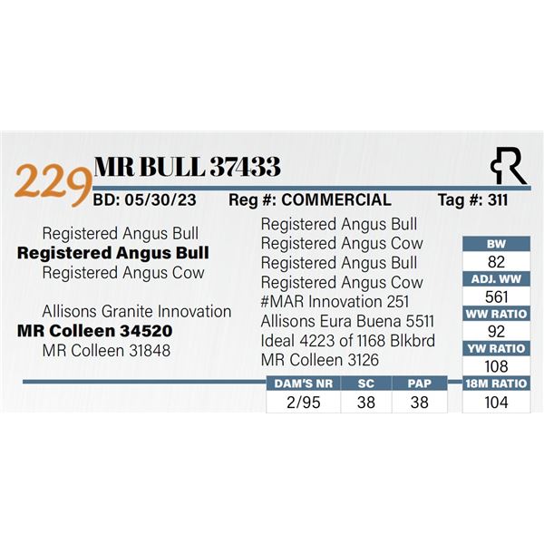 MR Bull 37433