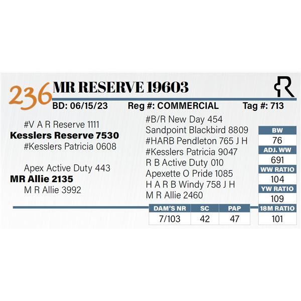 MR Reserve 19603