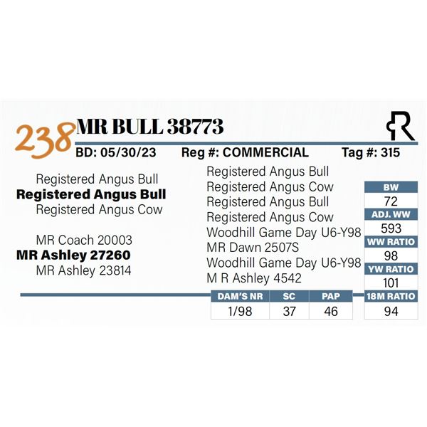 MR Bull 38773