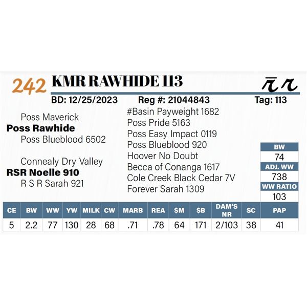 KMR Rawhide 113