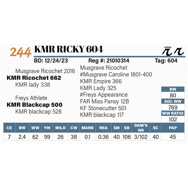KMR Ricky 604