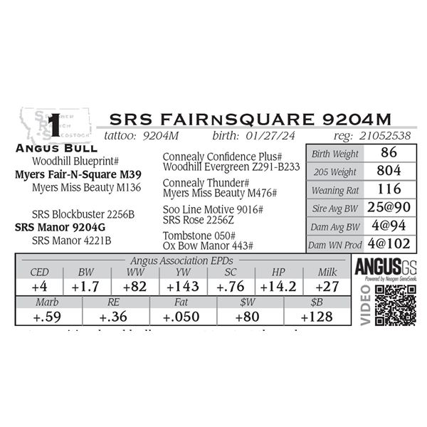 SRS FAIRnSQUARE 9204M