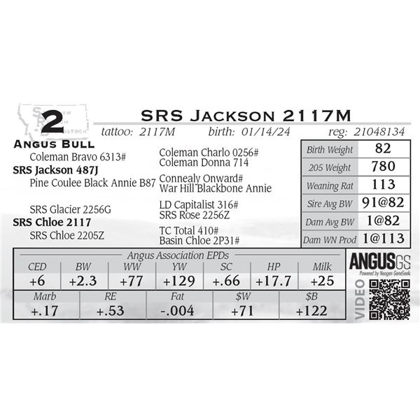 SRS Jackson 2117M