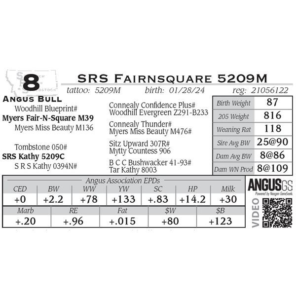 SRS Fairnsquare 5209M