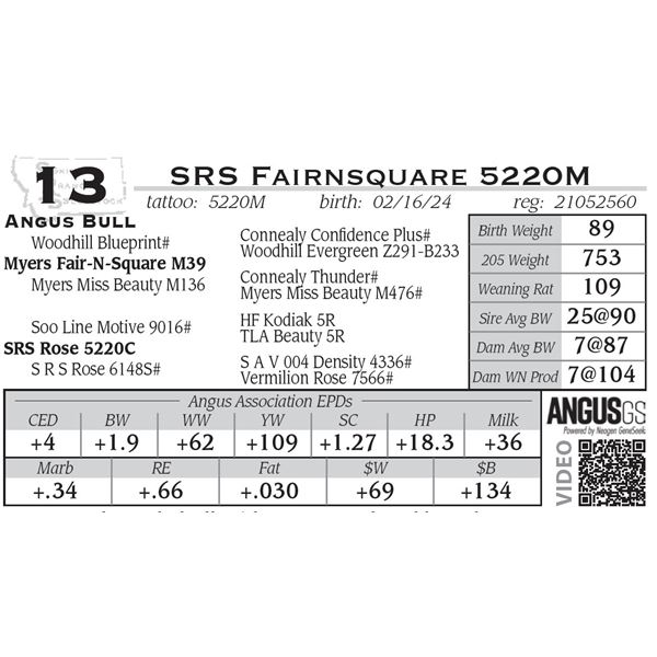 SRS Fairnsquare 5220M