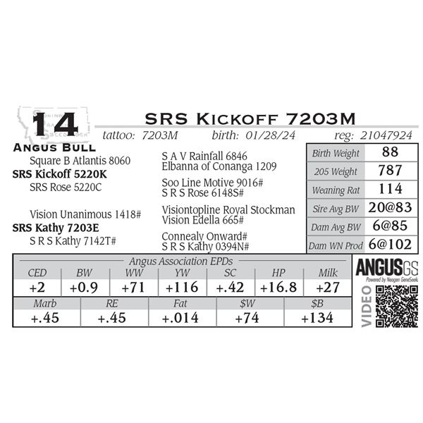 SRS Kickoff 7203M