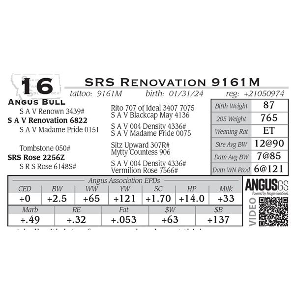 SRS Renovation 9161M