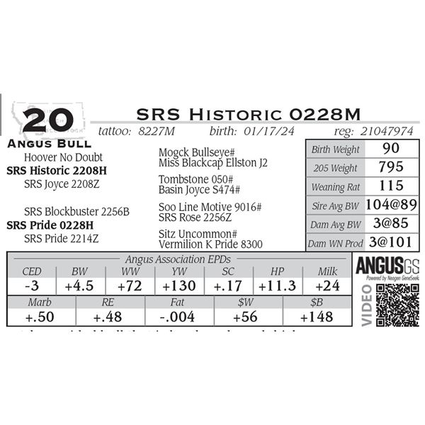 SRS Historic 8227M