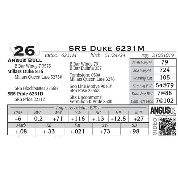 SRS Duke 6231M
