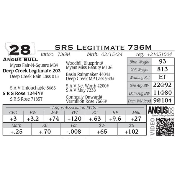 SRS Legitimate 736M