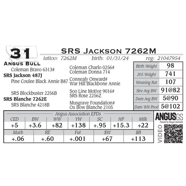 SRS Jackson 7262M
