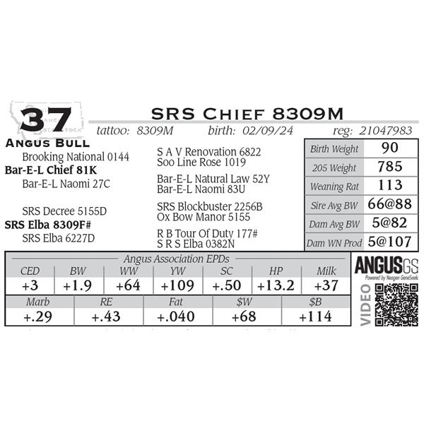 SRS Chief 8309M