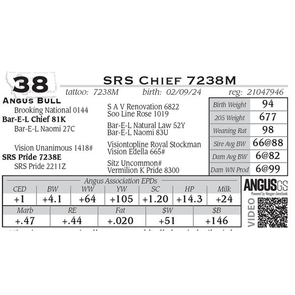 SRS Chief 7238M
