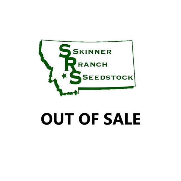 OUT OF SALE